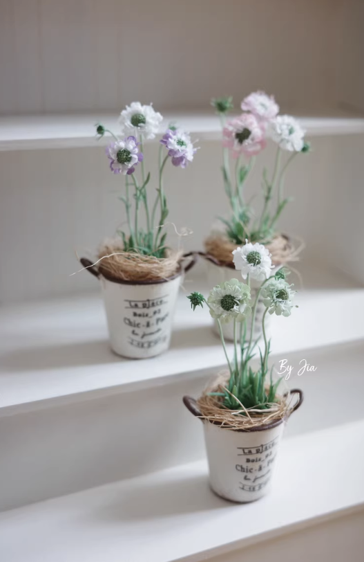 Plantas de arcilla en miniatur - Tagine Clay Pot reseña y precio