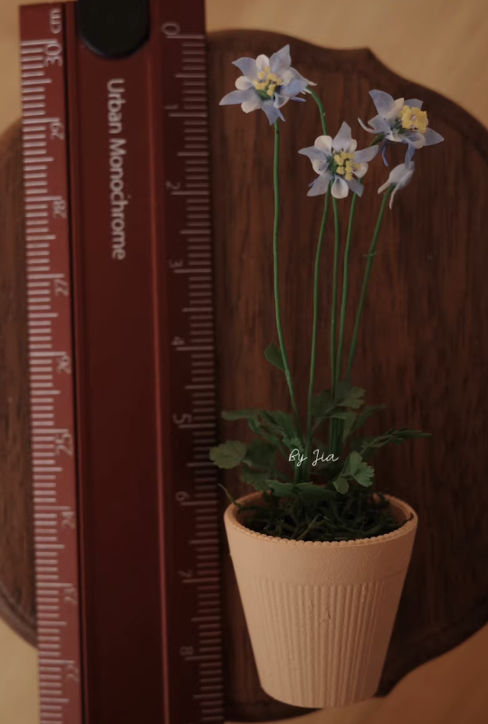 Plantas de arcilla en miniatur - Tagine Clay Pot reseña y precio
