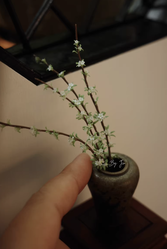 Plantas de arcilla en miniatur - Tagine Clay Pot reseña y precio