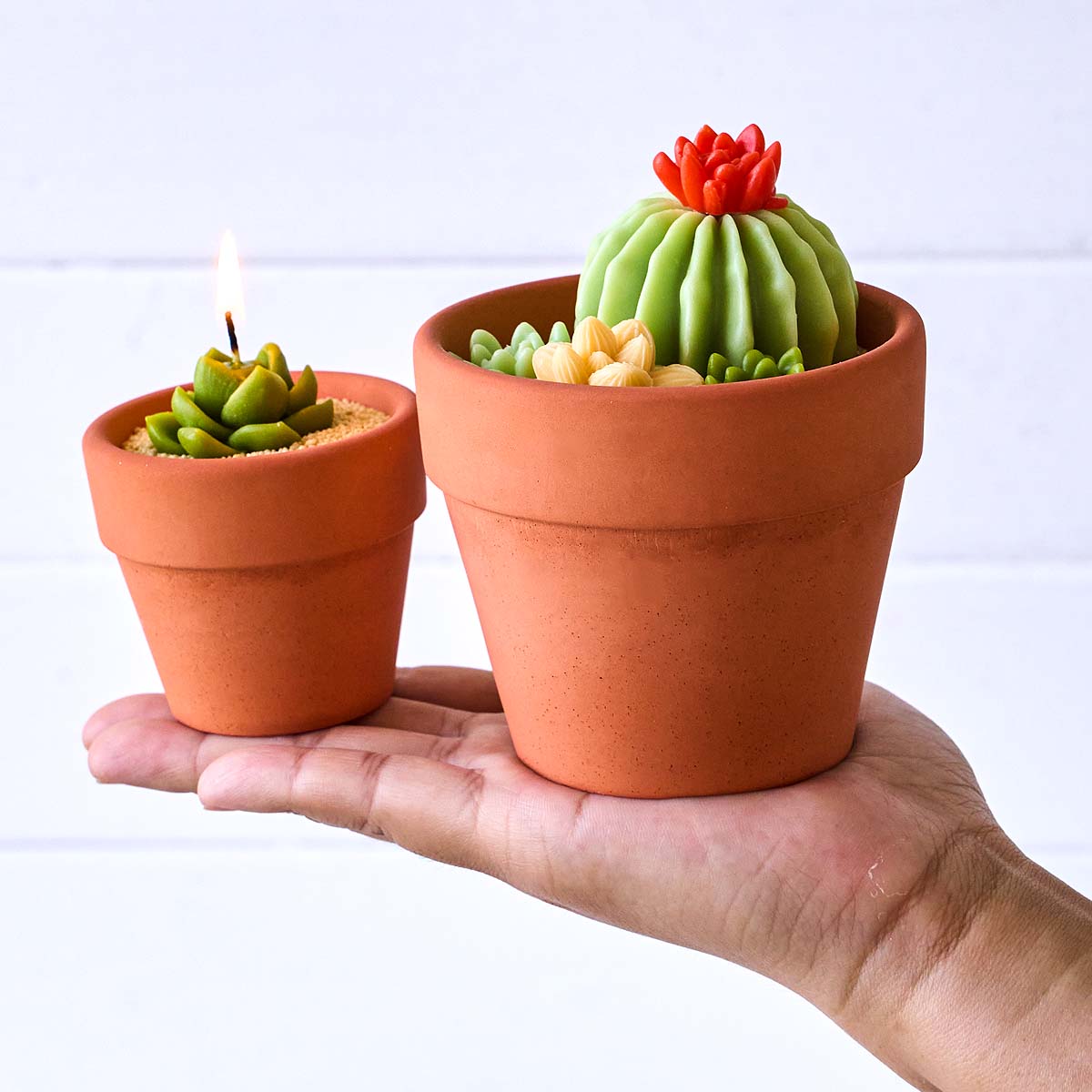 Molde de silicona 3D nórdico p - Tagine Clay Pot reseña y precio